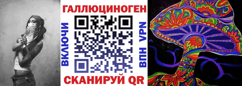 Псилоцибиновые грибы Psilocybe  где купить наркотик  мега ссылки  Змеиногорск 